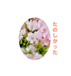 花にかこまれて（個別スタンプ：24）