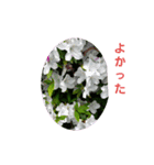 花にかこまれて（個別スタンプ：28）