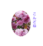 花にかこまれて（個別スタンプ：30）
