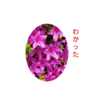 花にかこまれて（個別スタンプ：31）