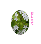 花にかこまれて（個別スタンプ：33）