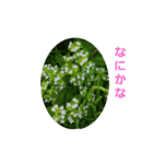 花にかこまれて（個別スタンプ：34）