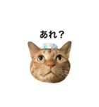 ねこのギンとトラ（個別スタンプ：20）