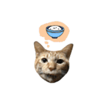 ねこのギンとトラ（個別スタンプ：36）