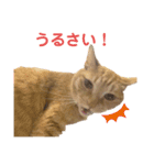 ヒロスタンプ(たまにいち)（個別スタンプ：4）