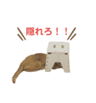 ヒロスタンプ(たまにいち)（個別スタンプ：11）