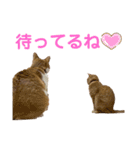ヒロスタンプ(たまにいち)（個別スタンプ：14）