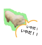 日常ワンちゃん(キキ)（個別スタンプ：9）
