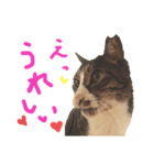 マスクと一緒（個別スタンプ：6）