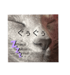 ペコといっしょ（個別スタンプ：7）