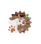 Shuunao（個別スタンプ：2）