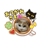 Shuunao（個別スタンプ：8）