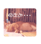 うさぎのハル♡2（個別スタンプ：5）