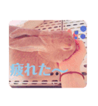 うさぎのハル♡2（個別スタンプ：8）