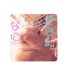 うさぎのハル♡2（個別スタンプ：9）