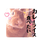 うさぎのハル♡2（個別スタンプ：10）