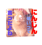 うさぎのハル♡2（個別スタンプ：11）