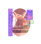 うさぎのハル♡2（個別スタンプ：12）