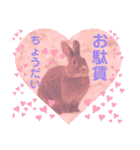 うさぎのハル♡2（個別スタンプ：13）