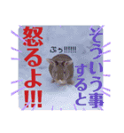 うさぎのハル♡2（個別スタンプ：21）