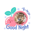 愛犬ROCOの日常(最新)（個別スタンプ：9）