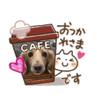 愛犬ROCOの日常(最新)（個別スタンプ：10）