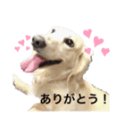 ルビーといっしょ（個別スタンプ：2）