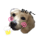 ルビーといっしょ（個別スタンプ：8）