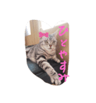 プリンちゃんとマロンちゃんその2（個別スタンプ：2）