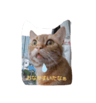 プリンちゃんとマロンちゃんその2（個別スタンプ：4）