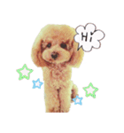 わーーーんこ（個別スタンプ：1）