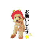 わーーーんこ（個別スタンプ：4）