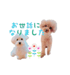 わーーーんこ（個別スタンプ：8）