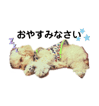 わーーーんこ（個別スタンプ：9）