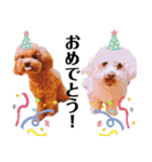 わーーーんこ（個別スタンプ：10）