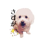 わーーーんこ（個別スタンプ：18）