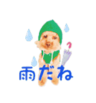 わーーーんこ（個別スタンプ：22）