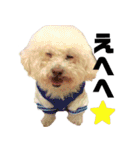 わーーーんこ（個別スタンプ：30）