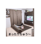 あらき ちびーず（個別スタンプ：7）