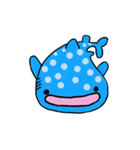 ジンベエザメスタンプ（個別スタンプ：2）