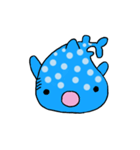 ジンベエザメスタンプ（個別スタンプ：8）