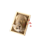 ゆるりんおまめ（個別スタンプ：2）