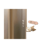 ゆるりんおまめ（個別スタンプ：3）