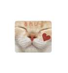 ゆるりんおまめ（個別スタンプ：5）