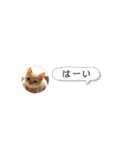 ゆるりんおまめ（個別スタンプ：13）
