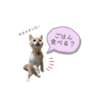 ゆるりんおまめ（個別スタンプ：18）