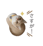ゆるりんおまめ（個別スタンプ：24）