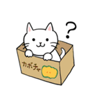 みーやんの日常〈ゆるかわしろねこ〉（個別スタンプ：16）