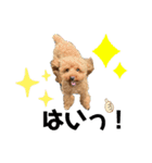 さくですりくです。2（個別スタンプ：9）