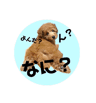 さくですりくです。2（個別スタンプ：16）